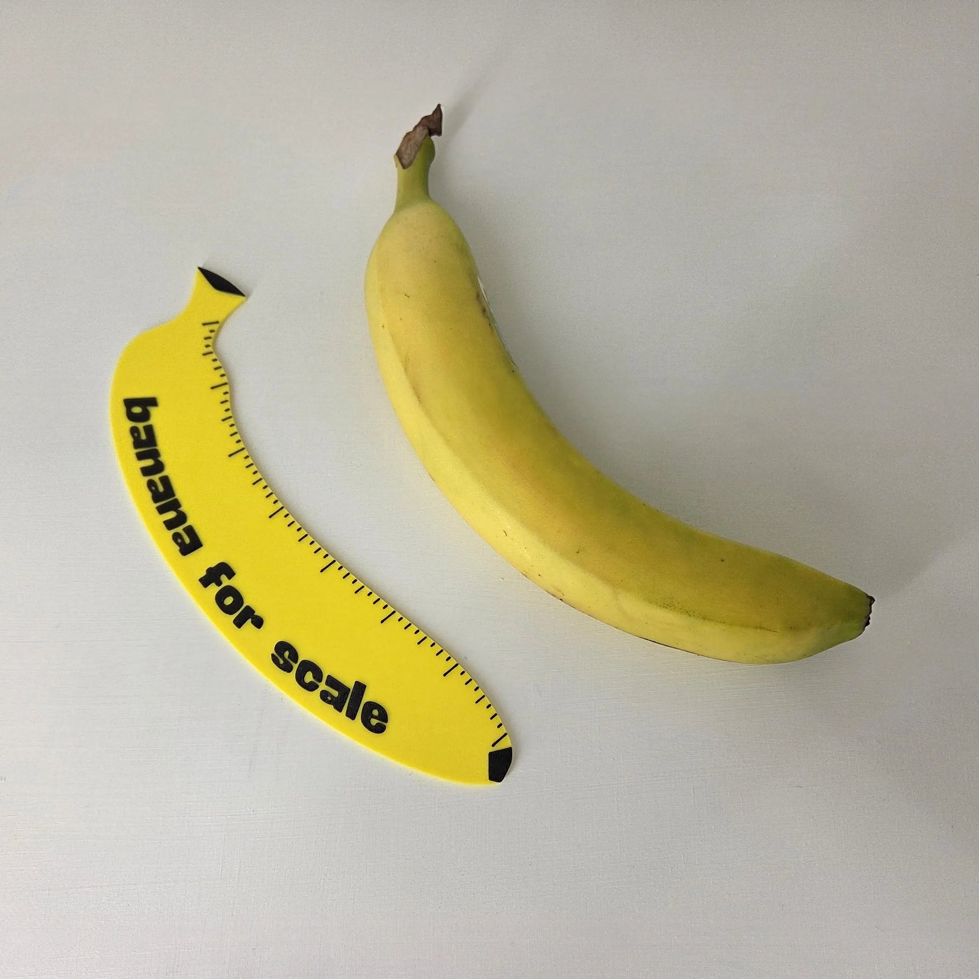 Banana with a ruler attached for scale on a white background